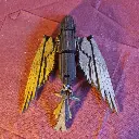 20241024_164641.webp